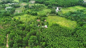 đất rộng 3300m2 có 1700m2 đất ở xã hòa nhơn, gần đường tránh hải vân