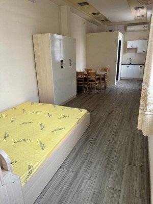 cho thuê căn hộ 1pn, 1wc, giá cực chất 5,5 triệu, 40m2 tại cách mạng tháng tám, tân bình, hcm