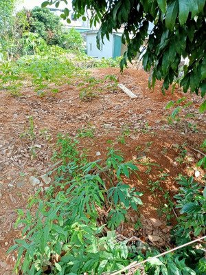 cắt lỗ mảnh đất 800m2 tại xã hạ long huyện vân đồn phù hợp đầu tư