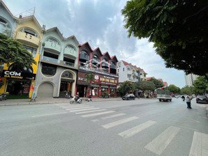 bán biệt thự làng việt kiều châu âu, 255m2, mặt tiền hơn 10m, chào giá 6x tỷ, lh 