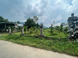 qsdđ thuộc thửa đất số 85, tờ bản đồ số 60 tại xã xuân thọ, huyện xuân lộc, tỉnh đồng nai