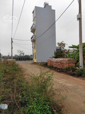 bán lô đất dịch vụ lại yên 150m mt 10m vuông như bàn cờ vị trí đẹp cách đường đôi chỉ 3 bước chân