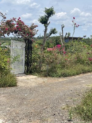 đất đẹp giá rẻ mua sinh lời cao, vị trí đẹp đường rộng