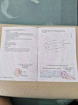 bán lô đất 186m2 ngang 8m cc thống nhất, minh tân, kiến thụy giá chỉ hơn 16 triệu/m2