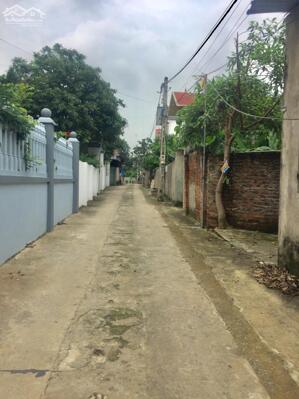 - Cần Bán nhanh mảnh đất xã Đông phương Yên 92m2, Mt 4m, Oto Vào tận đất , Giá chỉ 2.355 tr