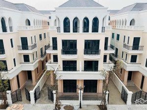 bán nhanh sl vip biệt thự song lập cọ xanh 127.5m2 ngay công viên -vinhomes ocean park 02