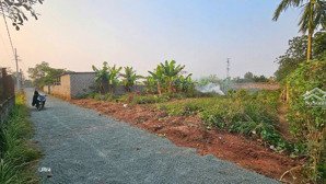 bán 476m2 đất hằng năm. mặt tiền 18m đường ô tô vào đất. cách chùa thầy 2km. xung quanh nhiều dân ở