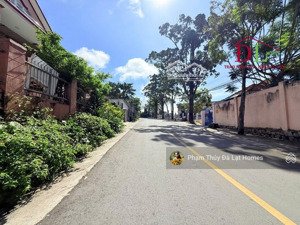 bán nhanh đất nền đà lạt mặt tiền ngô huy diễn khu an ninh giá tốt