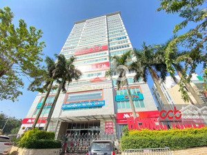 cho thuê nhà mặt phố tại 249a thuỵ khuê, 340m2. giá tốt