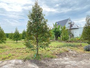 cần bán gấp lô đất ở bình phước