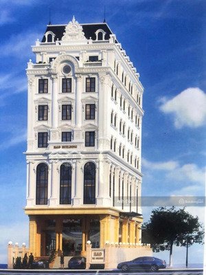 chính chủ cho thuê mặt tiền trần hưng đạo gần pullman quận 1