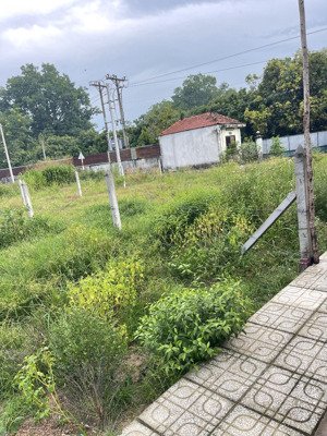 nhà cần ra ngộp miếng đất ngay đại lộ võ văn kiệt