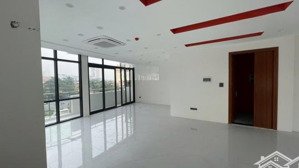 cho thuê liền kề, biệt thự quanh nguyễn cơ thạch, mỹ đình. oto đỗ tránh.