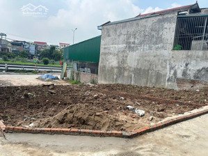bán đất lô góc 74m2 tại bất lự ,hoàn sơn, tiên du, bắc ninh, 26,5 triệu / m2