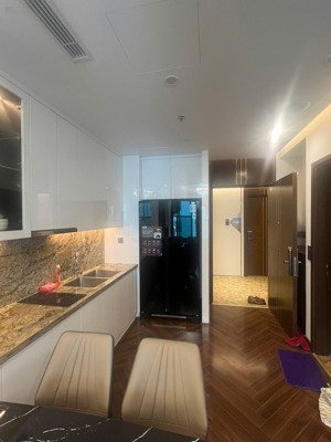 cho thuê căn hộ 1.5 phòng ngủ full đồ ở ngay 9 triệu diamond crown hải phòng