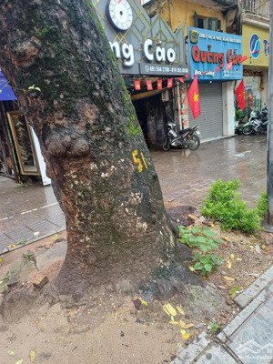 bán np 66m2 tại bát đàn, hoàn kiếm, 47,5 tỷ, đẹp và đầy tiện ích