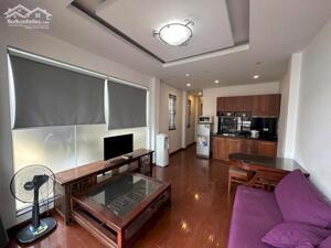 Bán nhà phố Linh Lang, Ba Đình 55m2 lô góc xây 6 tầng thang máy Gara ô tô kinh doanh