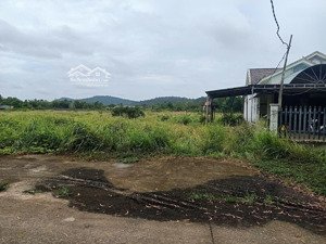 bán đất trung đoàn, 15 triệu/m2, 180.7 m2, phú quốc, kiên giang