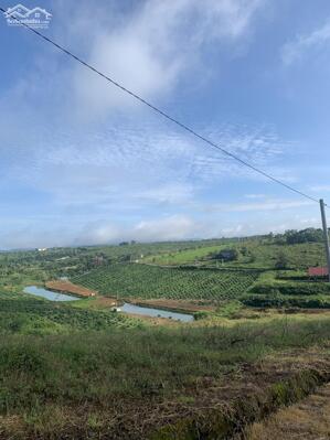 Bán GẤP 165m2 đất hồ Bảo Lộc - giá 8tr/m2