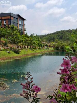 Bán lô đất nghỉ dưỡng đẹp tại Khúc Thừa Dụ, Phường 2, Lâm Đồng, 880 triệu, 150 m2 gần full thổ cư.