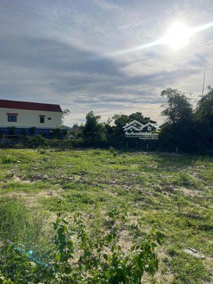 cơ hội đầu tư sinh lời tại quảng nam đừng bỏ lỡ!