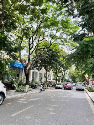 nhà phố tôn thất thuyết, vị trí đắc địa bậc nhất cầu giấy - lô góc duy nhất