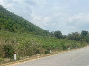 bán đất mặt tiền tỉnh lộ 5 thôn buôn đung, xã ninh tây, ninh hòa, tỉnh khánh hòa
