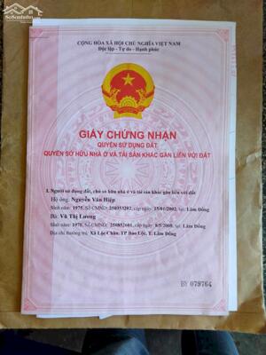 CẦN BÁN GẤP ĐẤT AO TẠI ĐINH CÔNG TRÁNG, LỘC CHÂU, BẢO LỘC, LÂM ĐỒNG