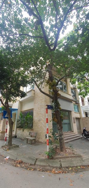 cho thuê biệt thự mỹ đình, nguyễn cơ thạch dt 125m2, nhà 4 tầng 5pn, đồ cơ bản, căn góc