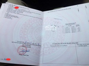 bán đất đấu giá tại trung tâm thị trấn tiền hải hưng yên, chỉ từ 16 triệu/m² sẵn sổ đỏ.