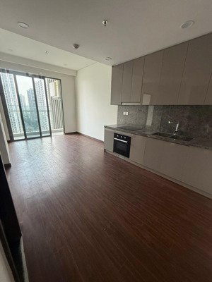 căn hộ duy nhất - 1pn + tòa h1 tầng trung, nội thất nguyên bản, view nội khu, không vay, giá 3 tỷ