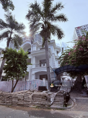 rẻ nhất phú mỹ hưng - biệt thự đơn lập mỹ văn 3 tầng sát cạnh công viên hoa anh đào