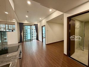 căn hộ giá tốt 1pn + tòa h1 tầng trung, nội thất nb, đang chờ sổ, không vay, hướng đb giá 3 tỷ 250