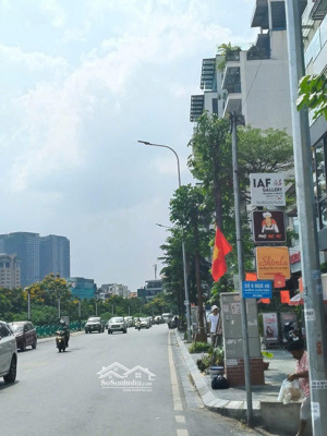 bán đất tặng nhà phố xuân diệu, quảng an, tây hồ 197m2 mặt tiền 15m giá đầu tư lh 