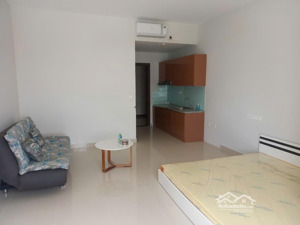 cho thuê căn hộ studio chung cư botanica premier