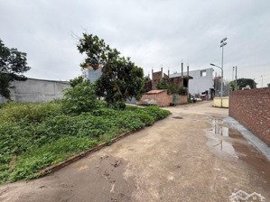 chính chủ bán 58m cát thuế an khánh hà nội