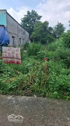 bán gấp lô đất đẹp tân thông hội 251m thổ, 9m mt đ.số 16. 1 tỷ 800 triệu