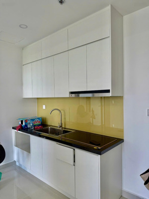 cho thuê căn hộ citialto 2pn 2wc mới 100% view thoáng mát, nhà sẵn, ở ngay chỉ 6,5tr/thang