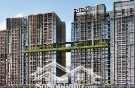 cần bán gấp căn hộ celesta nguyễn hữu thọ giá từ 4 tỷ - ngân hàng hỗ trợ vay 70%