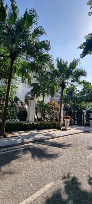 giảm sốc 3ty bán gấp biệt thự khu thiên đường bảo sơn, lê trọng tấn, giáp vin thăng long - gleximco