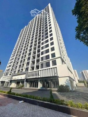 săn - qũy căn kí trực tiếp cđt - hỗ trợ vay ngân hàng