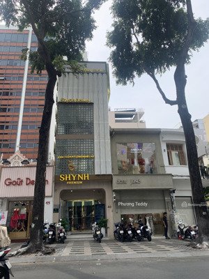 rẻ quá nè! siêu phẩm mặt tiền lý thái tổ, quận 10 ( 6x 25m, hầm+ 6 tầng, hđt 180 tr/th), giá 35 tỷ