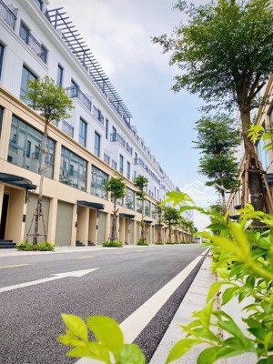 bán nhà phố 5 tầng hiện đại đường 17 m đối diện 16 toà chung cư kinh doanh giá rẻ tại thanh hoá