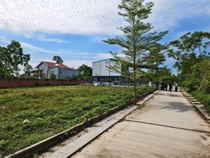 lô đất nằm cạnh dt 605 cơ hội đầu tư không thể bỏ lỡ điện bàn bắc