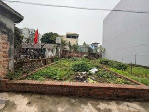 bán đất tại lương quy, 4,08 tỷ, 51m2, mặt tiền 4.3m, ngõ 3m, đông anh, hà nội