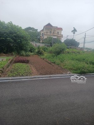 bán đất tằng mỹ , nam hồng, đông anh, hà nội, 2,7 tỷ, 40m2 ,ô tô đỗ cửa .