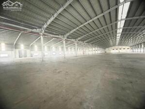 CHO THUÊ KHO XƯỞNG KHU CÔNG NGHIÊP TÂN UYÊN