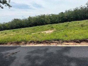 chủ ngộp bán gấp 250m2 có 100tc giá 210tr đường xe oto dân đông điện nước đầy đủ