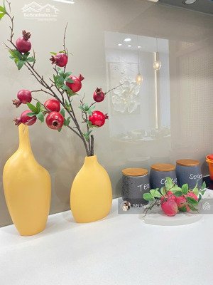 bán biệt thự cũ, s lớn: 538m2 gần biển bãi trước, thích hợp cho kh xây biệt thự & kd nghỉ dưỡng
