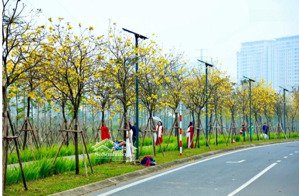 lê trọng tấn dt 32m 5 tầng nhỉnh 6ty vị trí ôtô gần